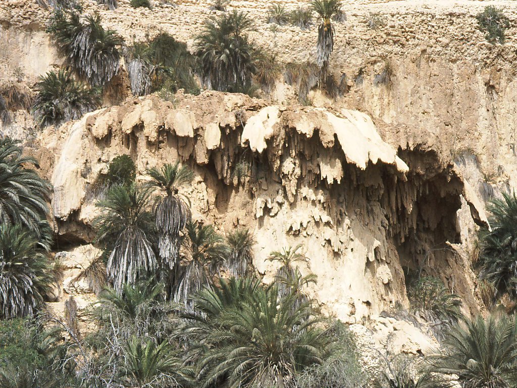 Wadi Shuwaymiyyah