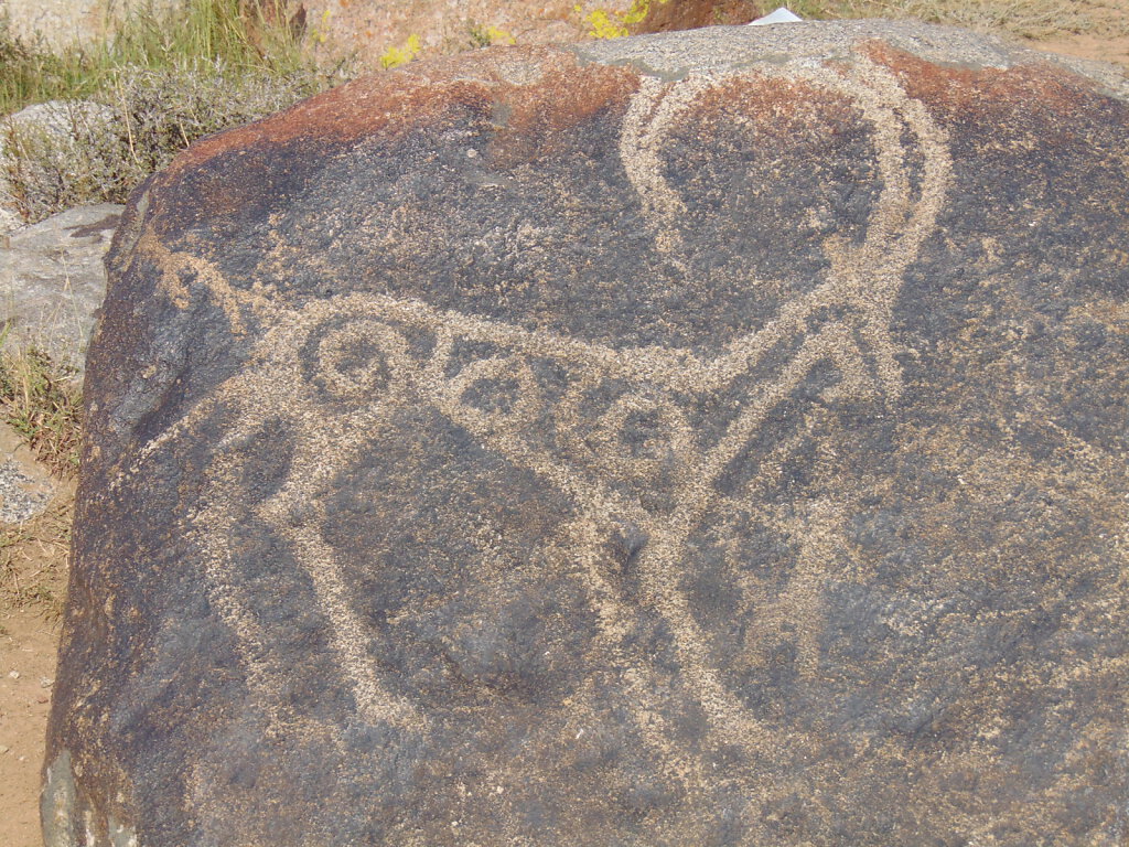 Felszeichnungen / petroglyphs