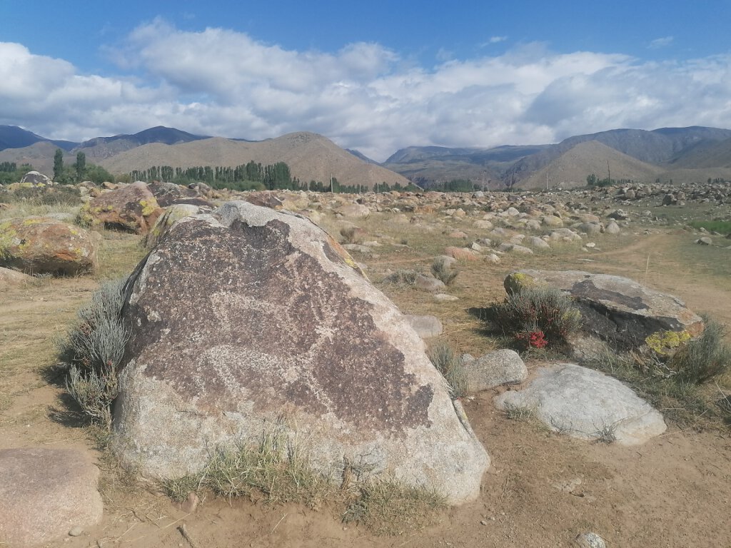 Felszeichnungen / petroglyphs