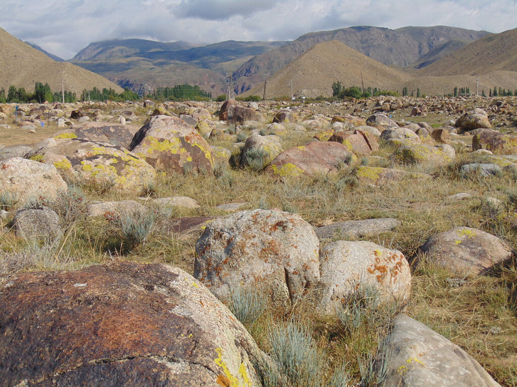 Felszeichnungen / petroglyphs